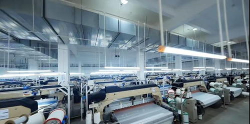 向著春天，出發(fā) 建行深圳市分行以金融服務(wù)與網(wǎng)絡(luò)技術(shù)助力特區(qū)高質(zhì)量發(fā)展